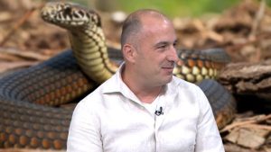Eksploruesi tregon ku rrinë gjarpërinjtë, ja çfarë duhet të keni parasysh